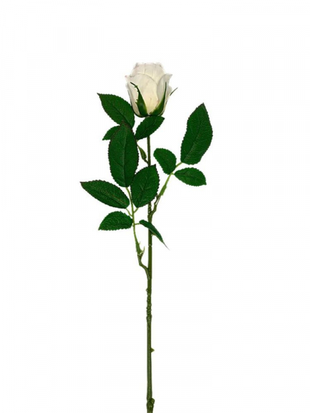 Róża gałązka 59 cm kremowa