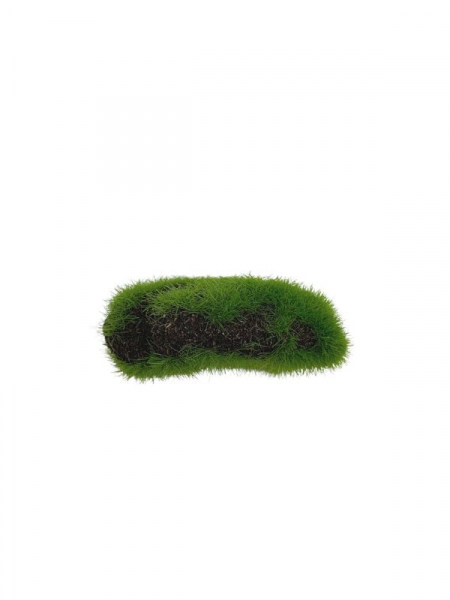 Kamień omszony 6 cm zielony