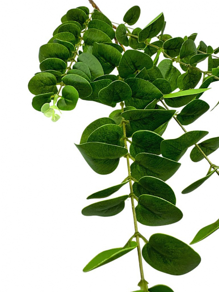 Eukaliptus gałązka XL 98 cm zielony