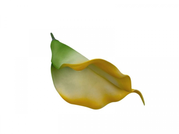 Kalia kwiat wyrobowy 18 cm kremowo żółta