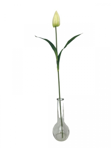 Tulipan kwiat pojedynczy 55 cm kremowo zielony