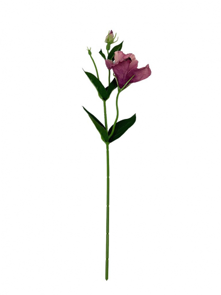 Eustoma gałązka 48 cm brudny fiolet