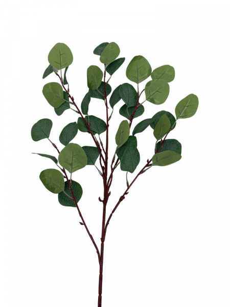 Eukaliptus gałązka 56 cm zielony