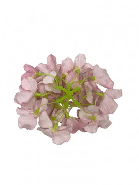 Hortensja główka 12 cm romantyczny róż