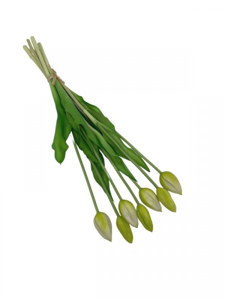 Tulipan silikonowy wiązka 45 cm kremowy zielony