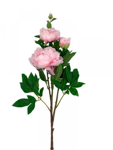 Piwonia gałązka 114 cm jasny róż