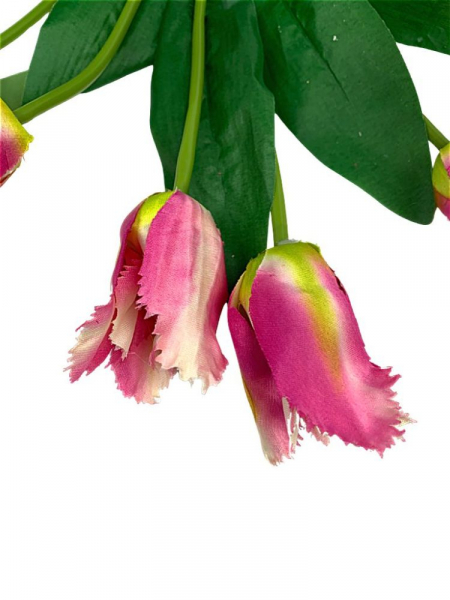 Tulipany strzępiaste bukiet 42 cm fuksja