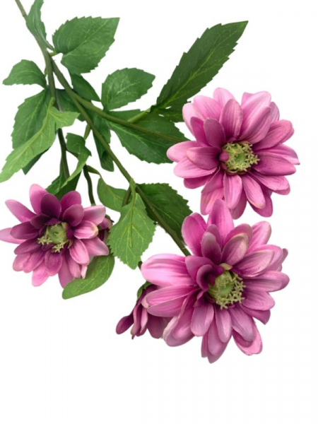 Margaretka kwiat pojedynczy 74 cm różowa