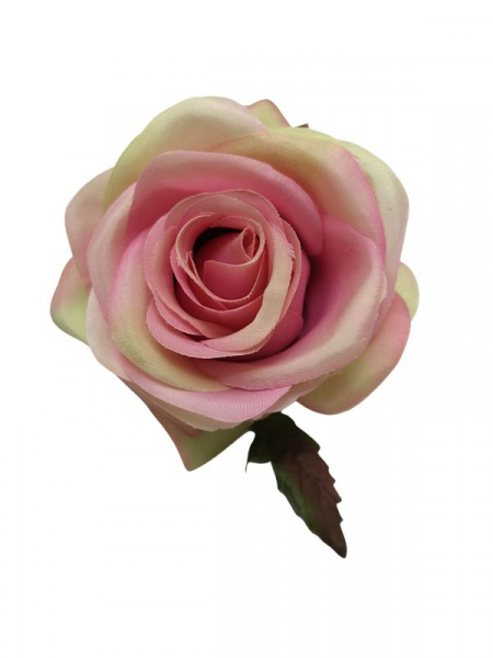 Róża główka 9 cm różowo zielona
