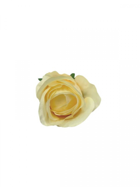Róża główka 7 cm kremowa