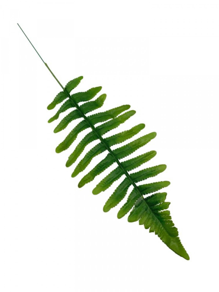 Liść paproci 49 cm zielony