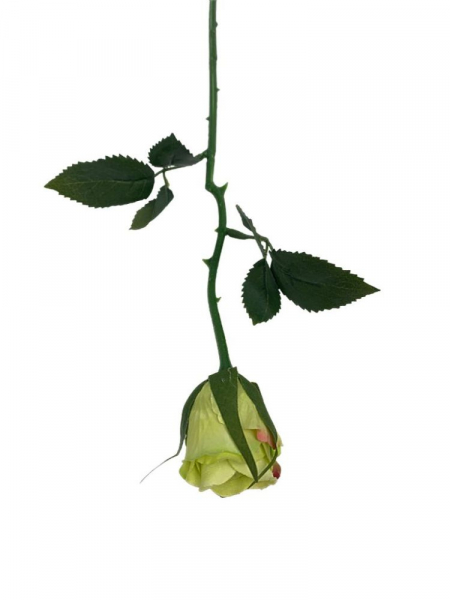 Róża gałązka 35 cm zielona