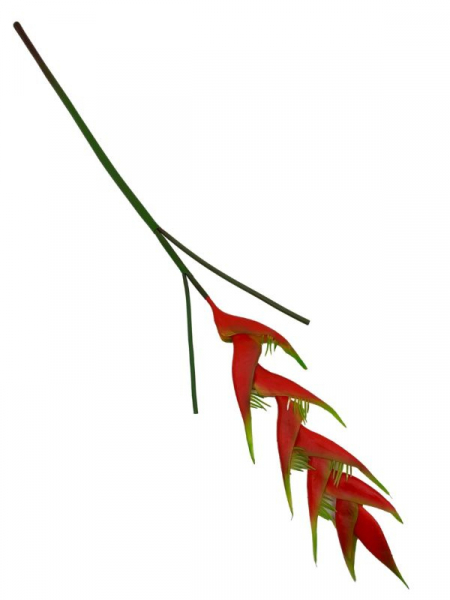 Helikonia kwiat pojedynczy 103 cm czerwona