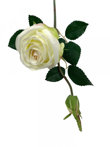 Róża kwiat pojedynczy 36 cm kremowa