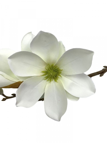 Magnolia gałązka 40 cm biała z jasną zielenią