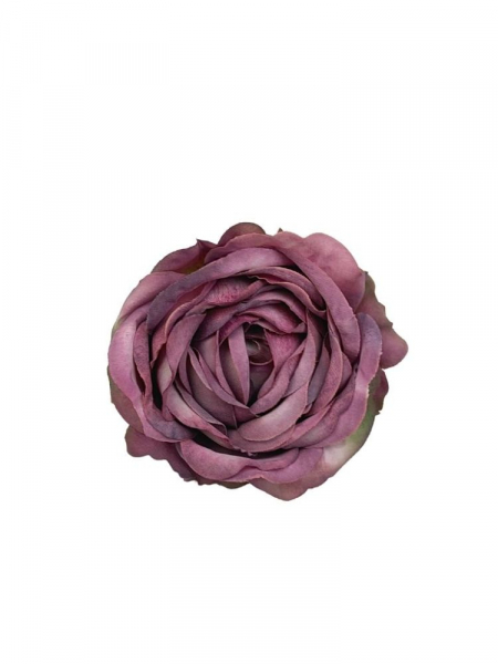 Róża główka 10 cm niejednolity fiołkowy