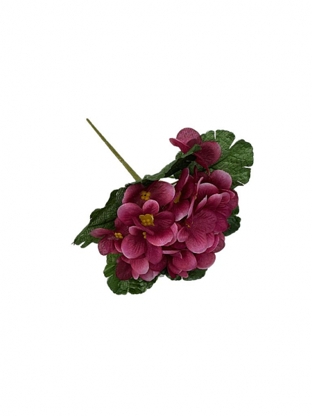 Fiołek (prymulka) bukiet 21 cm ciemny róż