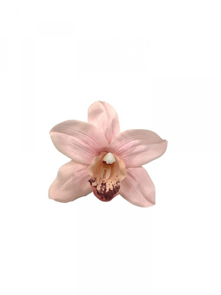 Orchidea główka 10 cm jasny róż