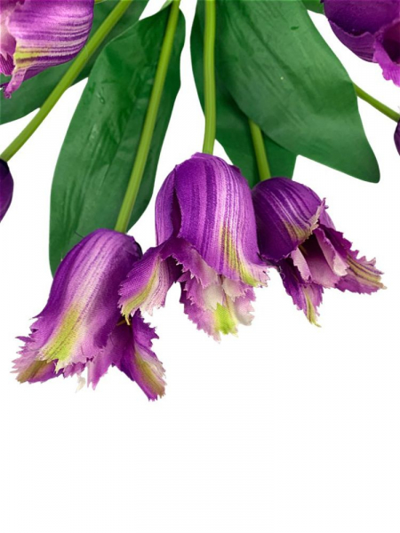 Tulipany strzępiaste bukiet 42 cm fiolet