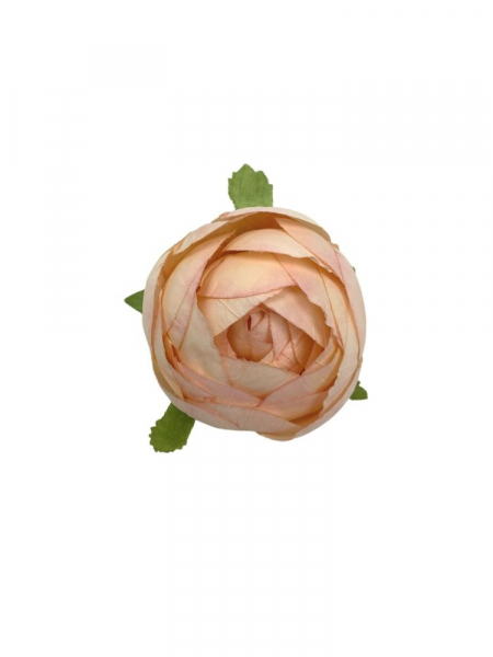 Pełnik główka 5 cm jasno brzoskwiniowy z jasnym różem