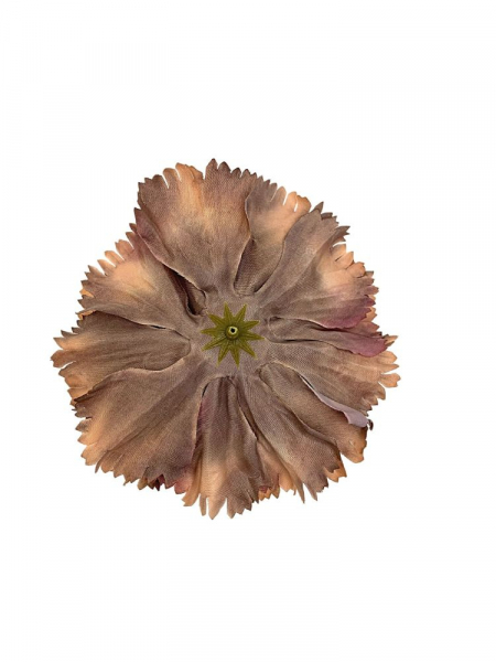 Goździk główka 12 cm multikolor zielony fiolet i brzoskwinia