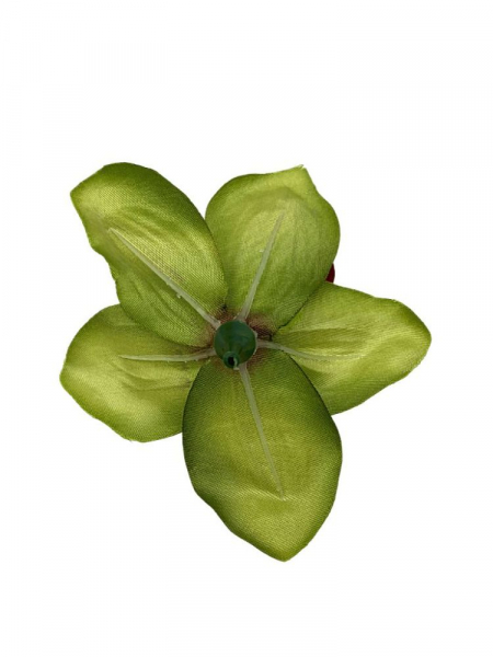 Storczyk główka 14 cm zielony