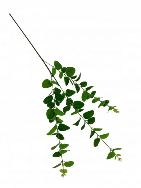 Eukaliptus gałązka 84 cm zielony