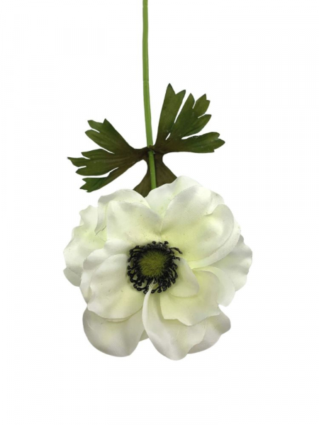 Anemon kwiat pojedynczy 36 cm kremowy