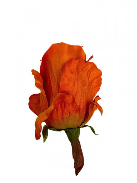 Róża gigant główka 12 cm pomarańczowa