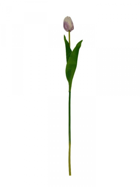 Tulipan matowy gałązka 54 cm brudny fiolet i kremowy