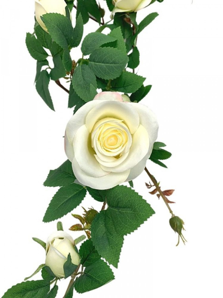 Girlanda róż XL 150 cm z kremowymi kwiatami