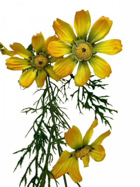Kosmos kwiat na gałązce 130 cm żółty