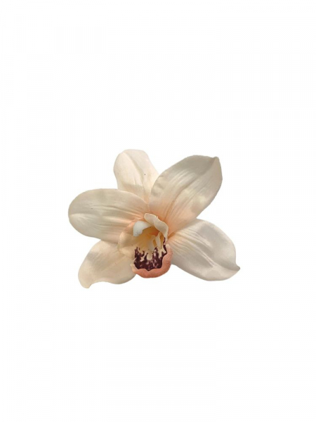 Orchidea główka 10 cm jasno brzoskwiniowa
