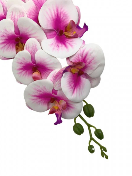 Storczyk kwiat pojedynczy 95 cm biały z fioletowymi akcentami