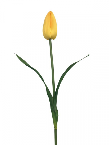 Tulipan kwiat pojedynczy 55 cm żółty