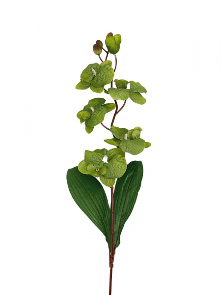 Storczyk gałązka 77 cm zielony