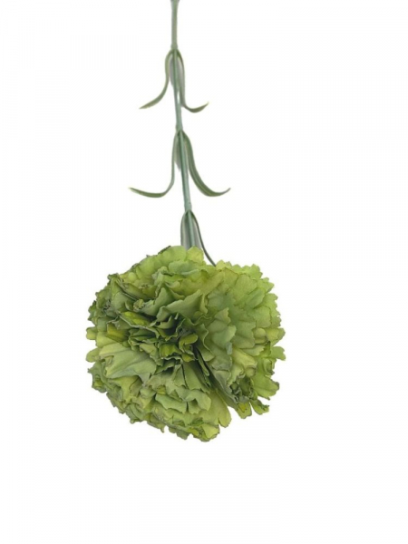 Goździk gałązka 52 cm zielony