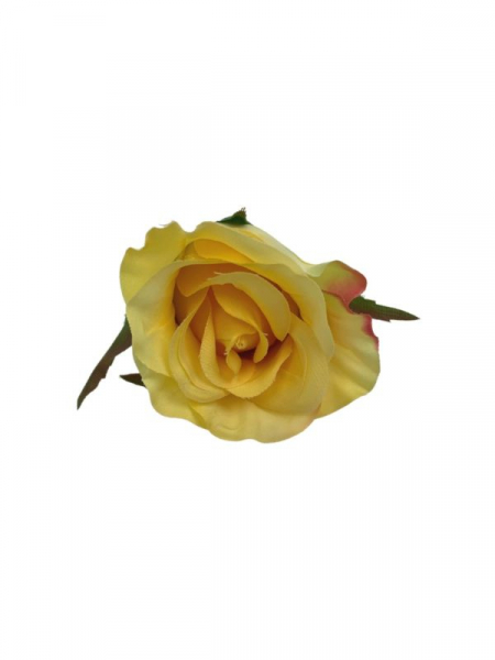 Róża główka 5 cm żółta