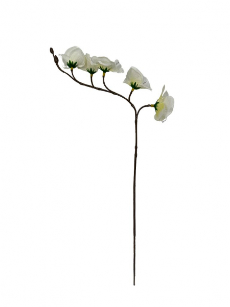 Storczyk mini gałązka 41 cm biały