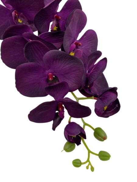 Storczyk kwiat pojedynczy 100 cm ciemno purpurowy